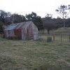 Old tin house similiar to ones bulldozed in the Gully, Katoomba